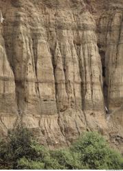 Photo Texture of Rock Cliff 